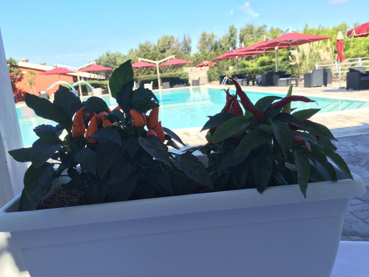 Hotel Club Esse Sporting Stintino Esterno foto